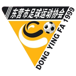 Logo Dongying Team