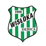 Logo Wisloka Debica